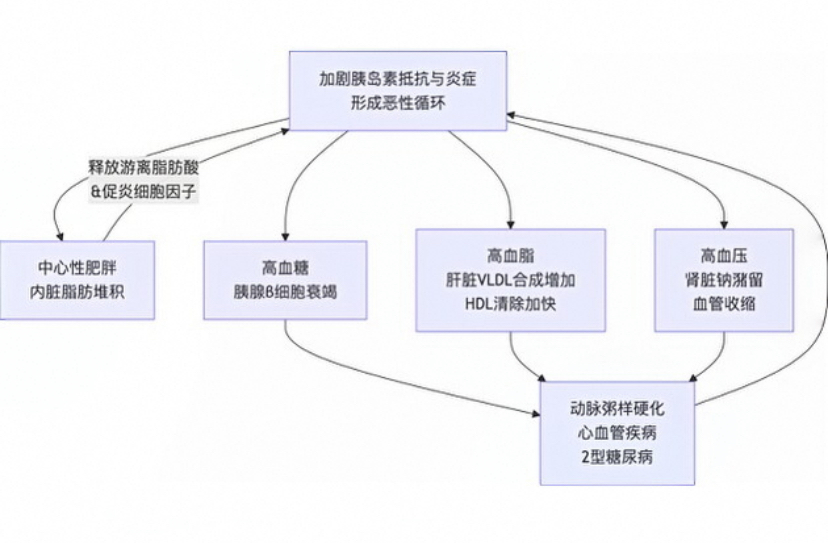 1777268329233011.jpg 微信图片_20260427115818_1904_131.jpg