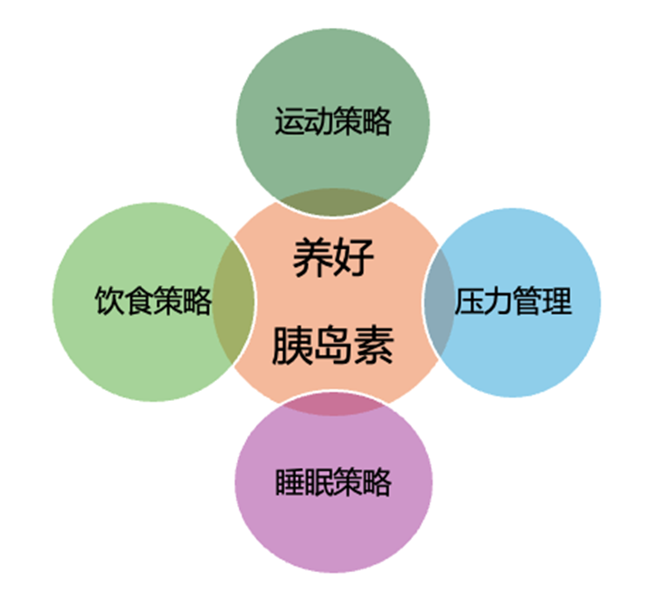 一文带你了解 空腹血糖，餐后血糖，糖化血红蛋白，糖耐量试验都意味着什么，是身体那部分功能有限造成的