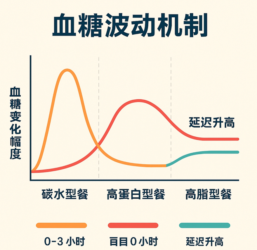蛋白质也会升糖、刺激胰岛素分泌？很多控糖人群都忽略了这件事